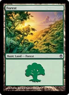 Forest - Magic: The Gathering - AvN Near Mint Inglés - Carta de Magic: The Gathering en México | Hydra Collectables