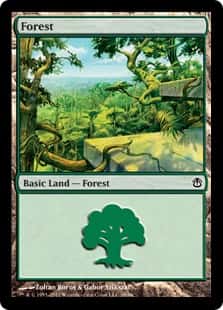 Forest - Magic: The Gathering - AvN Near Mint Inglés - Carta de Magic: The Gathering en México | Hydra Collectables