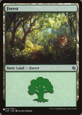Forest - Magic: The Gathering - JMP Near Mint Inglés - Carta de Magic: The Gathering en México | Hydra Collectables