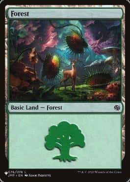 Forest - Magic: The Gathering - JMP Near Mint Inglés - Carta de Magic: The Gathering en México | Hydra Collectables