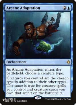 Arcane Adaptation - Magic: The Gathering - XLN Near Mint Inglés - Carta de Magic: The Gathering en México | Hydra Collectables